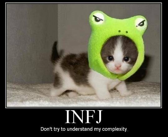 scaled_full_b27a9d9e9e16425db9b0